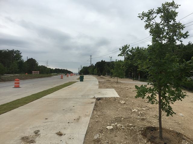 residential grass median