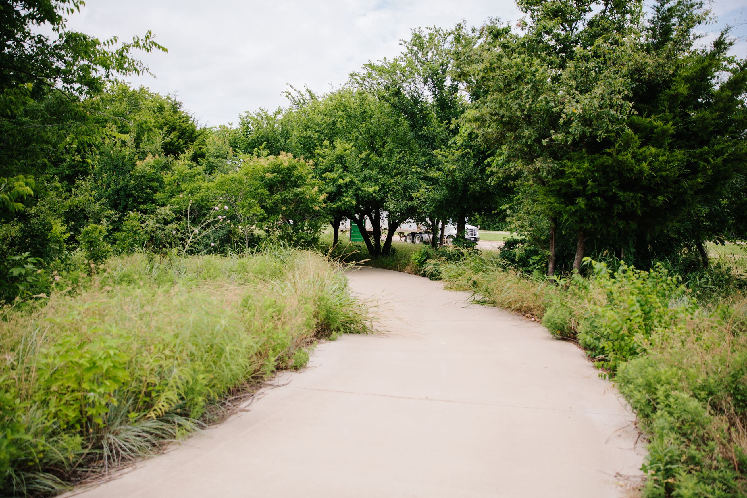 Cedar Mountain Nature Preserve-2
