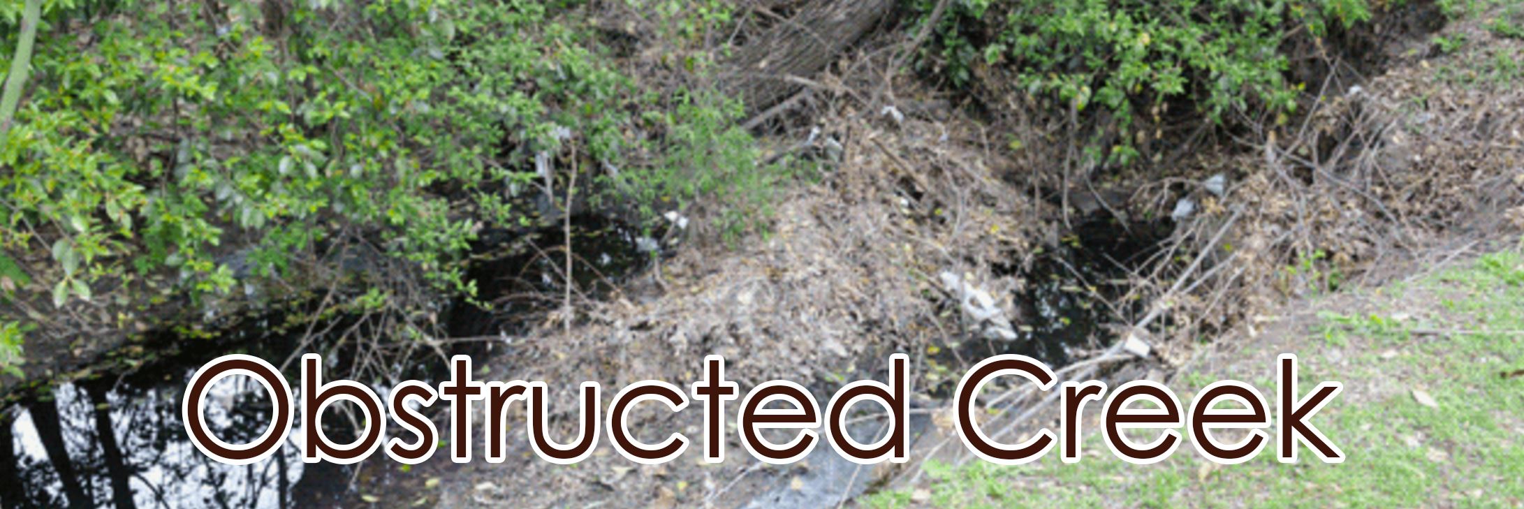 BEFORE Obstructed Creek