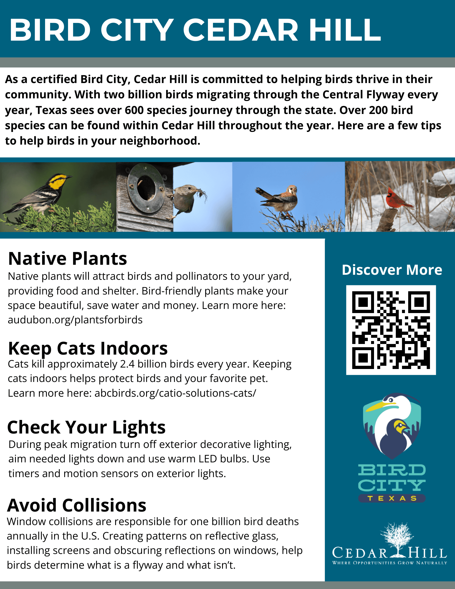 Bird City Information Flyer