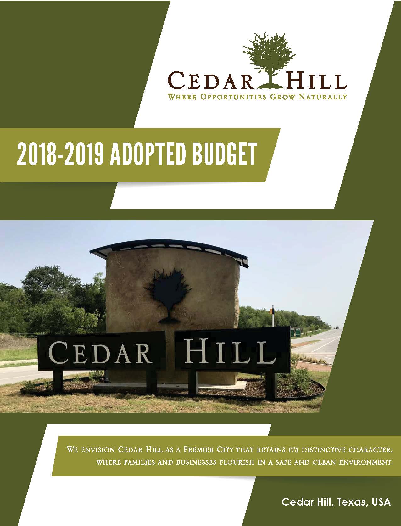 2019 Adopted Budget Cover