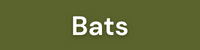 Bats_Link