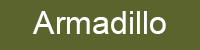 Armadillo_Link