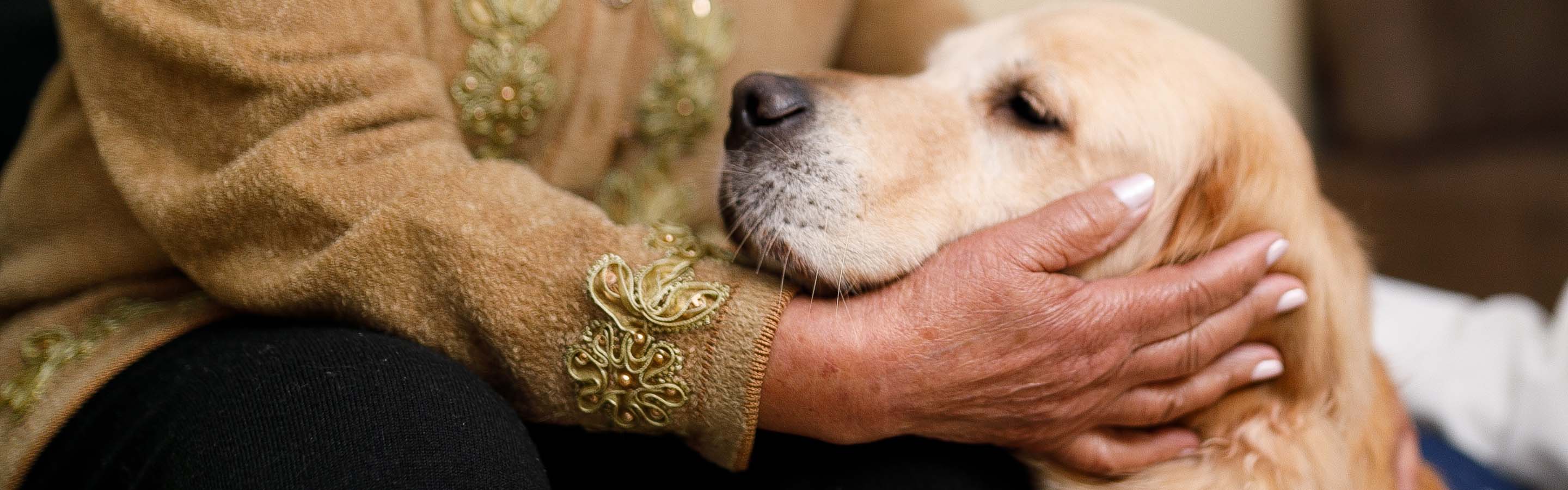 avma-website-senior-pets-hero-2880x900